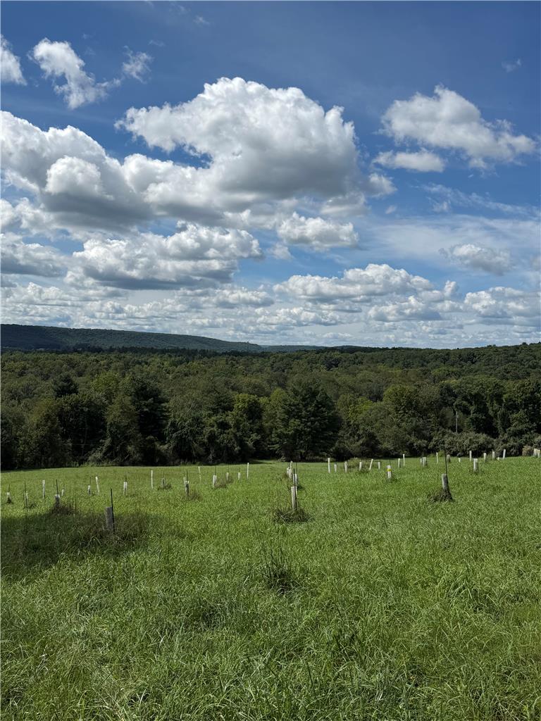 0 Cottontail Lane Property Photo 1