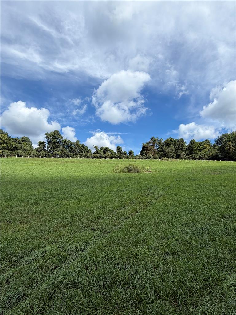 0 Cottontail Lane Property Photo 2