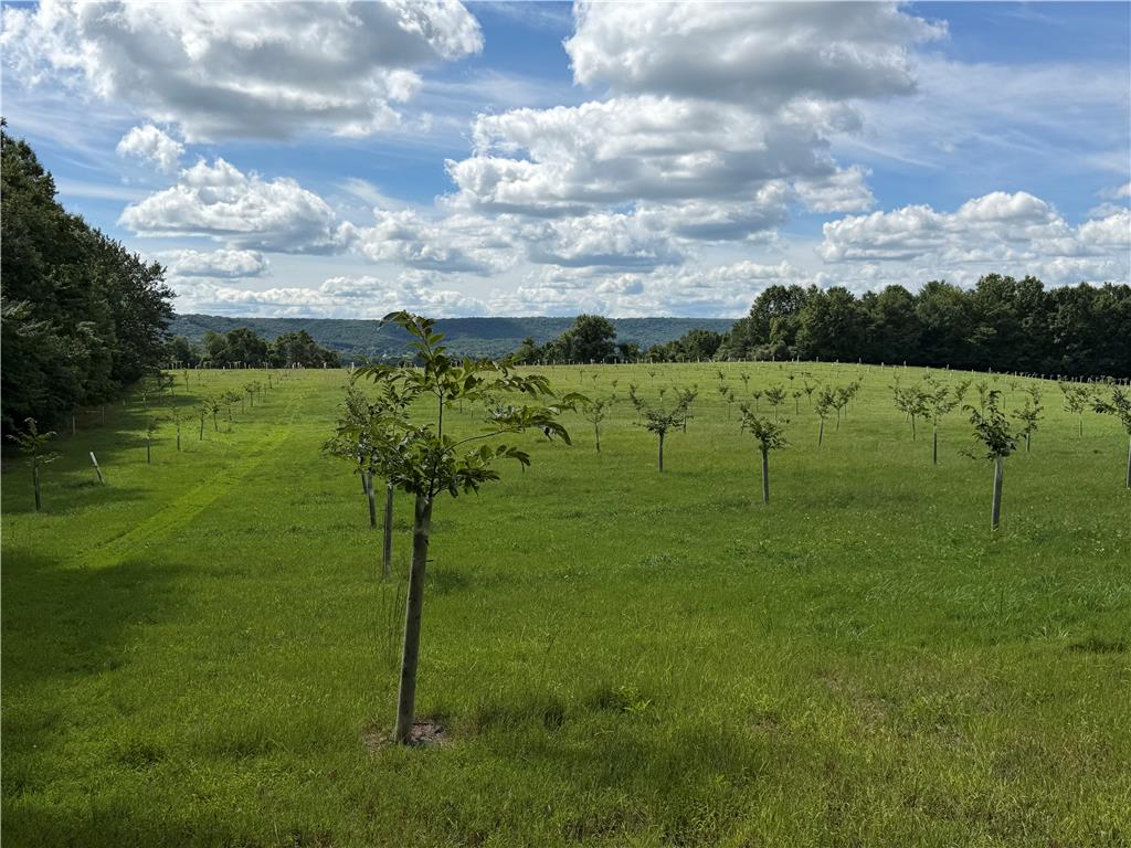 0 Cottontail Lane Property Photo 3