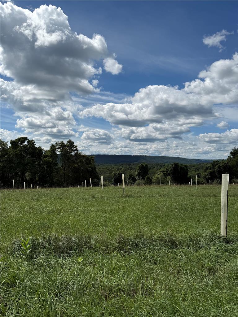 0 Cottontail Lane Property Photo 4