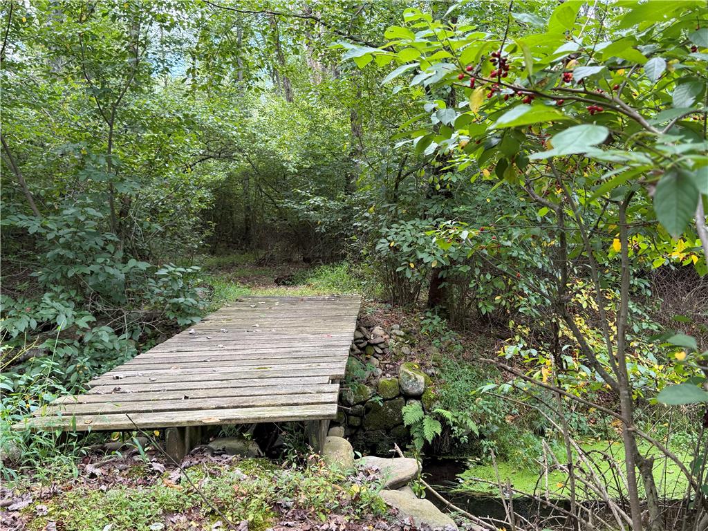 0 Cottontail Lane Property Photo 5