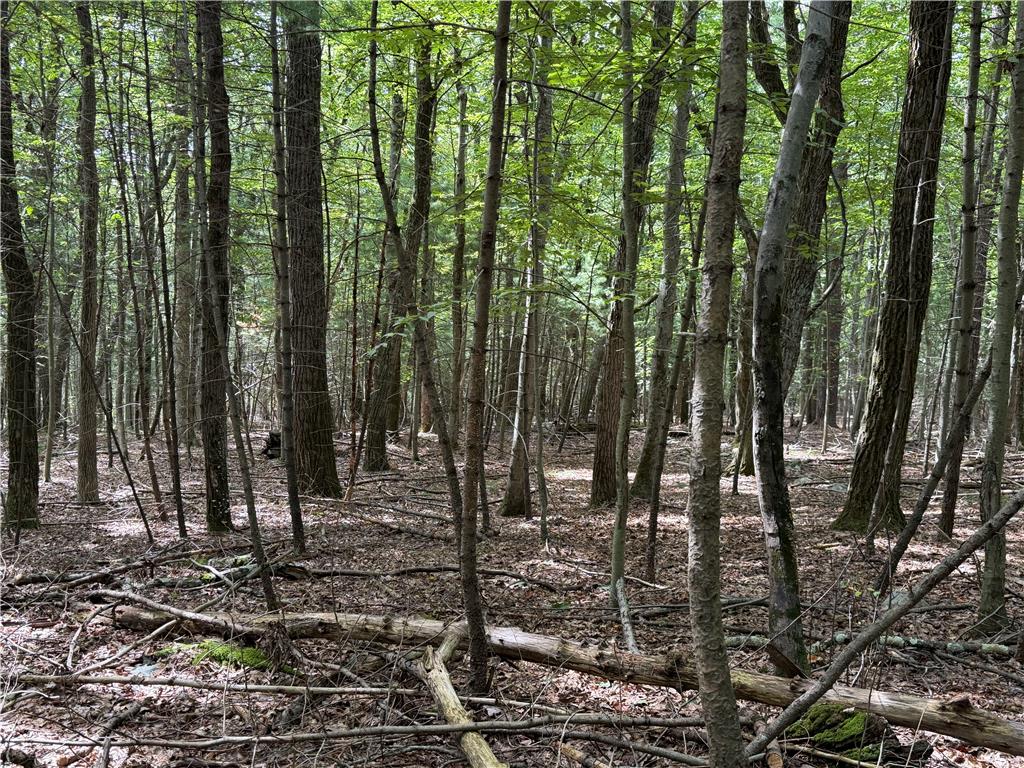 0 Cottontail Lane Property Photo 6