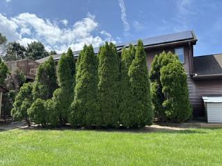 4545 Senny Court Property Photo 6