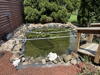 4545 Senny Court Property Photo 10