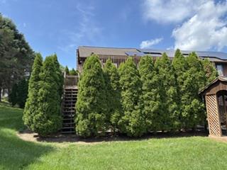 4545 Senny Court Property Photo 13