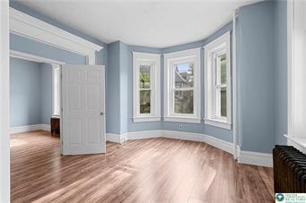 419 West 4th Street 1 Property Photo 17