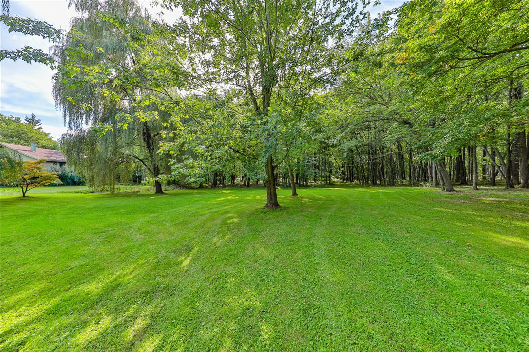 364 West Mountain Road Property Photo 56