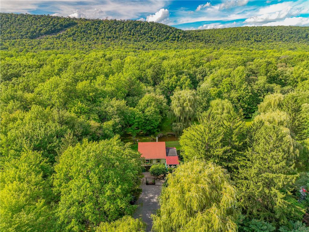 364 West Mountain Road Property Photo 65