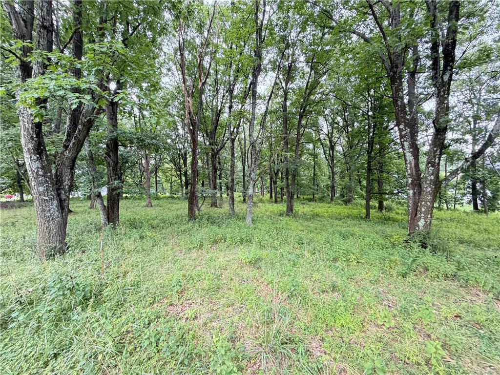1148 Verona Drive Property Photo 15
