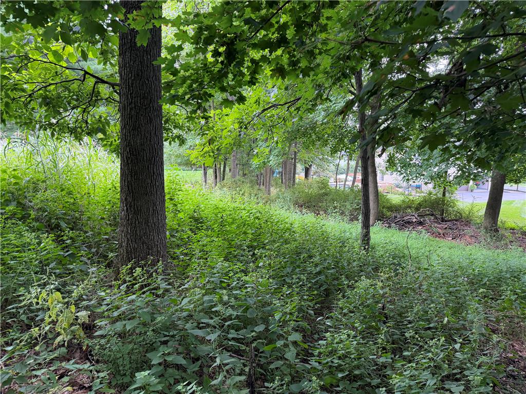 1148 Verona Drive Property Photo 17