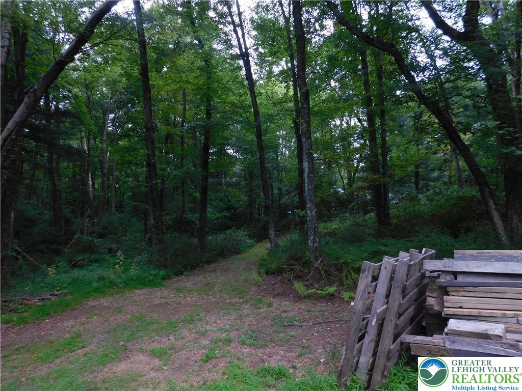 996 Greenwood Street Property Photo 13