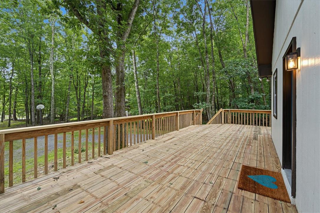 2569 Birch Hollow Drive Property Photo 5