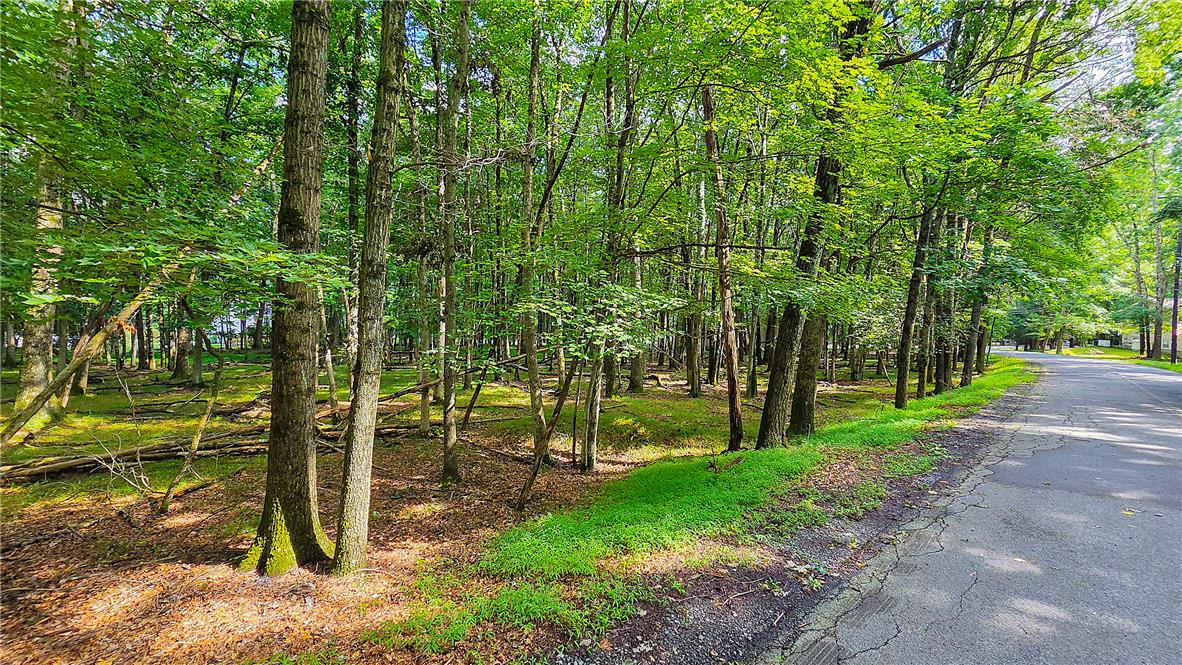 Yana Lane Property Photo 2