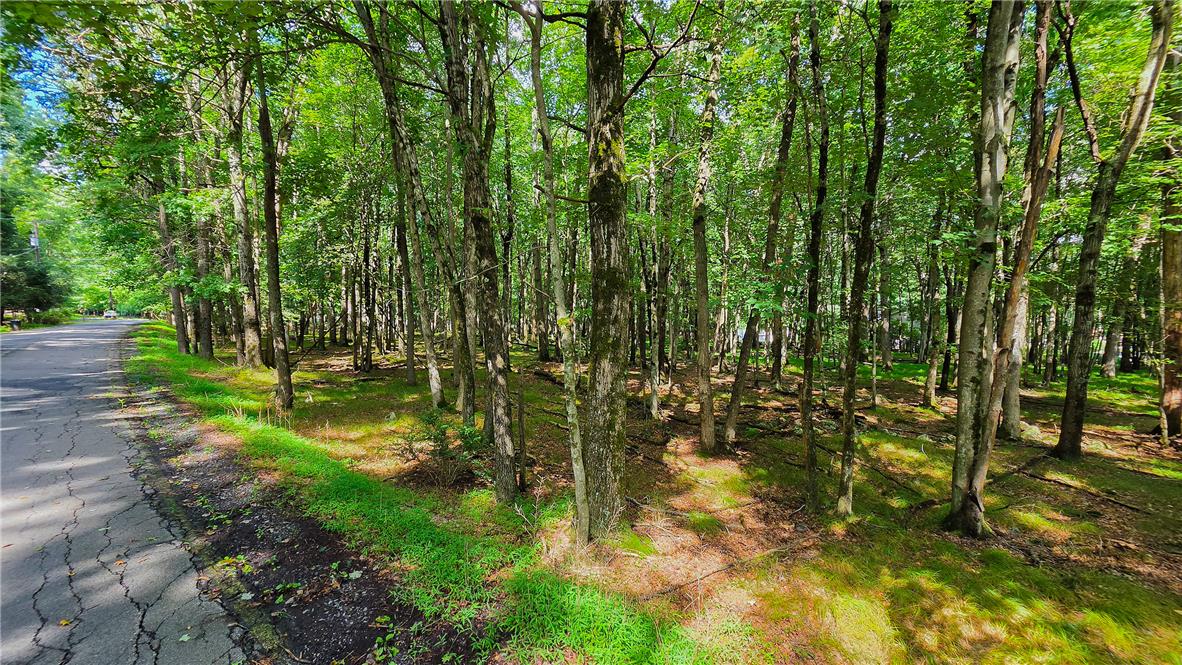 Yana Lane Property Photo 3