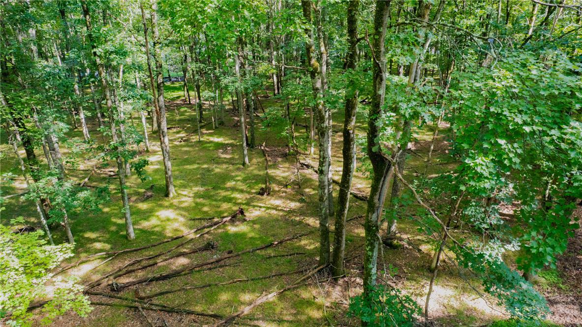 Yana Lane Property Photo 4