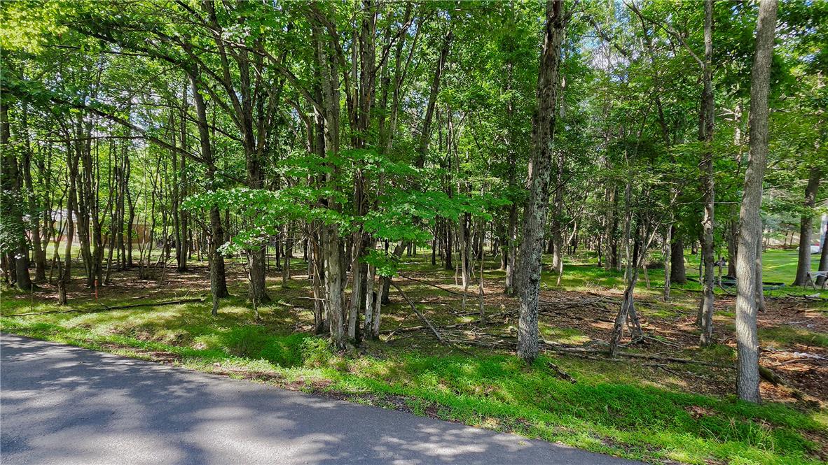 Sycamore Circle Property Photo 3