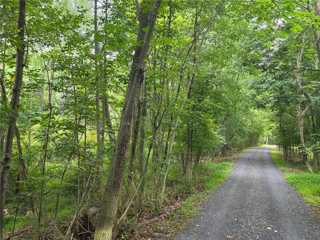 Abel Colony Road Property Photo 1
