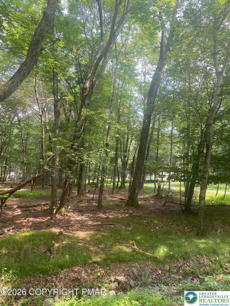 391 Scenic Property Photo 2
