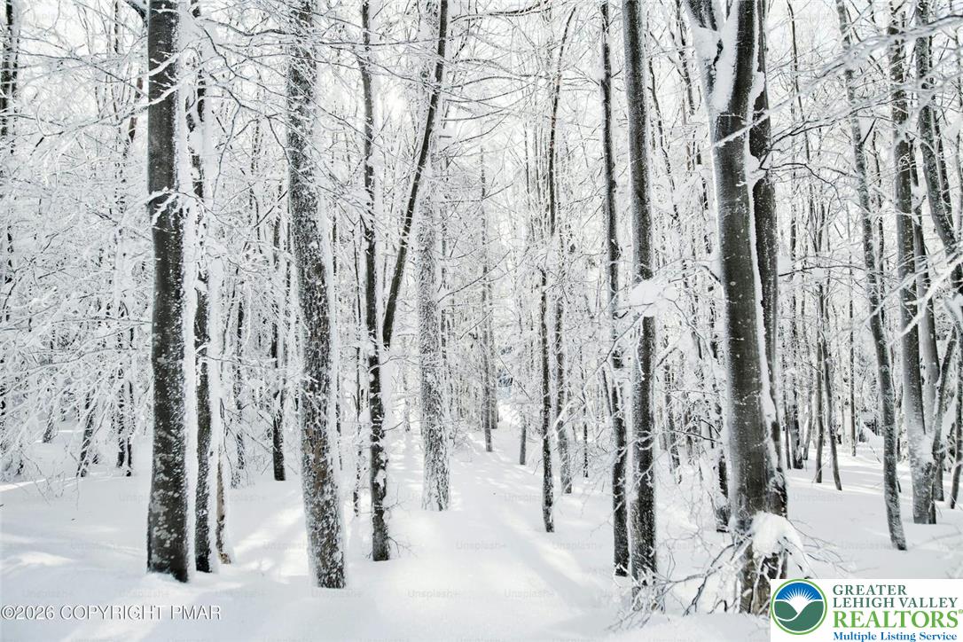 391 Scenic Property Photo 4