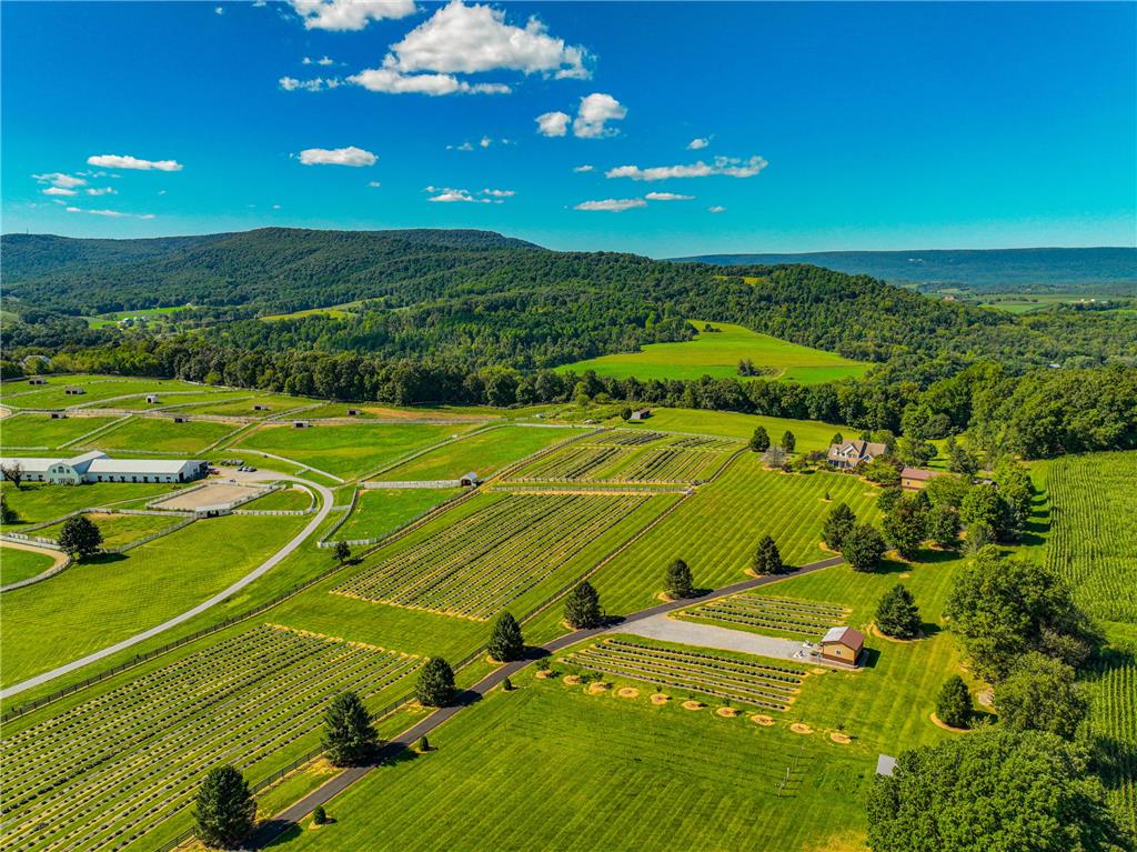 63 Long Road Property Photo 8