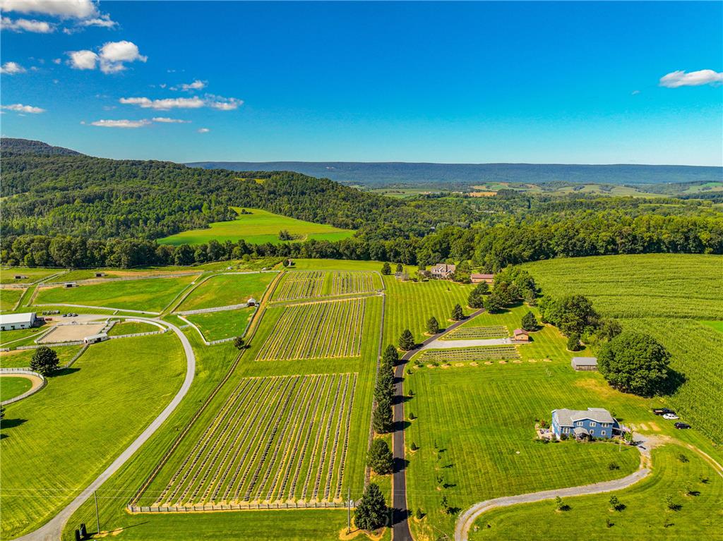 63 Long Road Property Photo 9