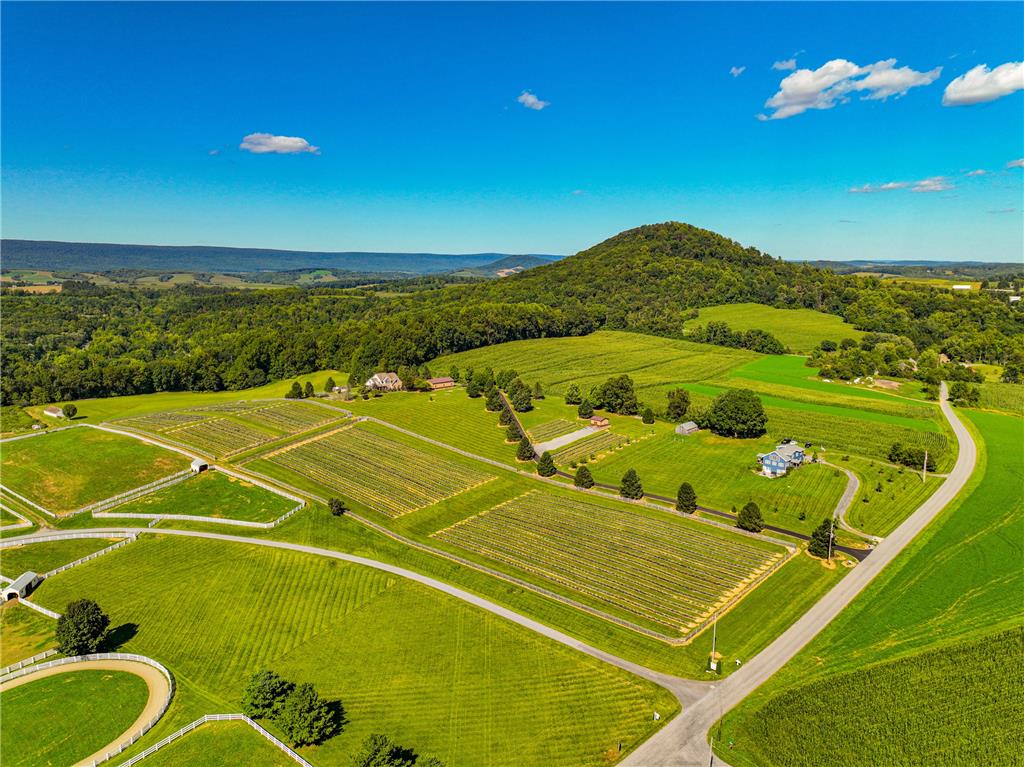 63 Long Road Property Photo 10