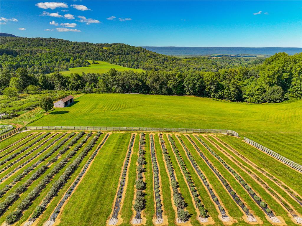 63 Long Road Property Photo 16