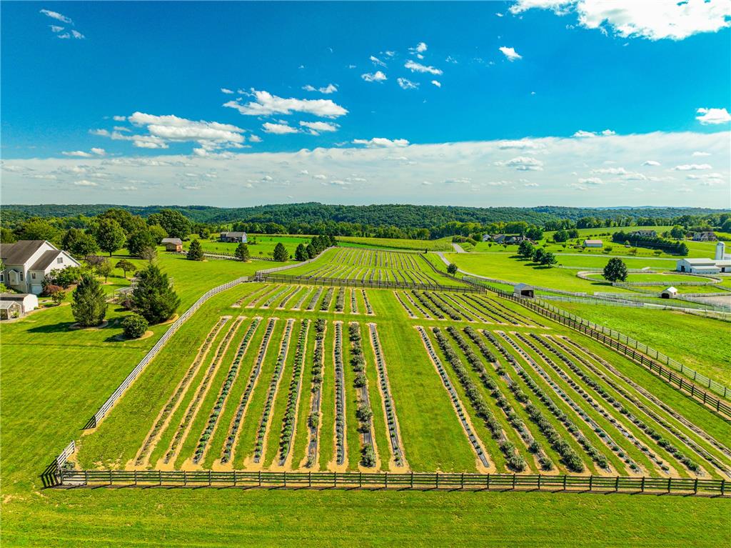 63 Long Road Property Photo 19