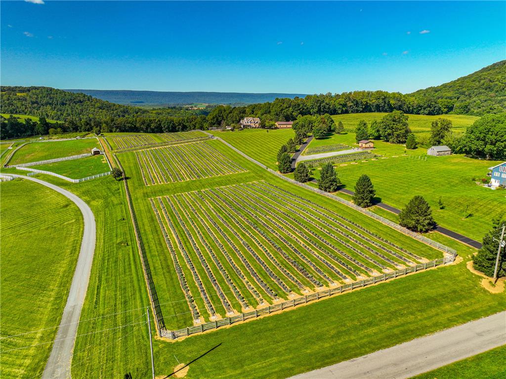 63 Long Road Property Photo 25