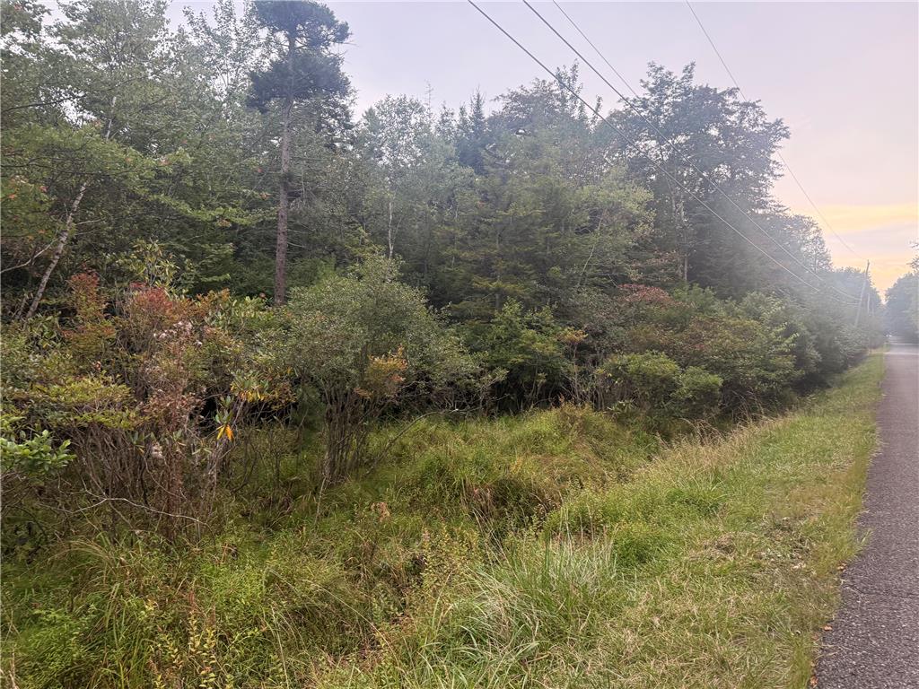 Lazarus Circle Property Photo 3