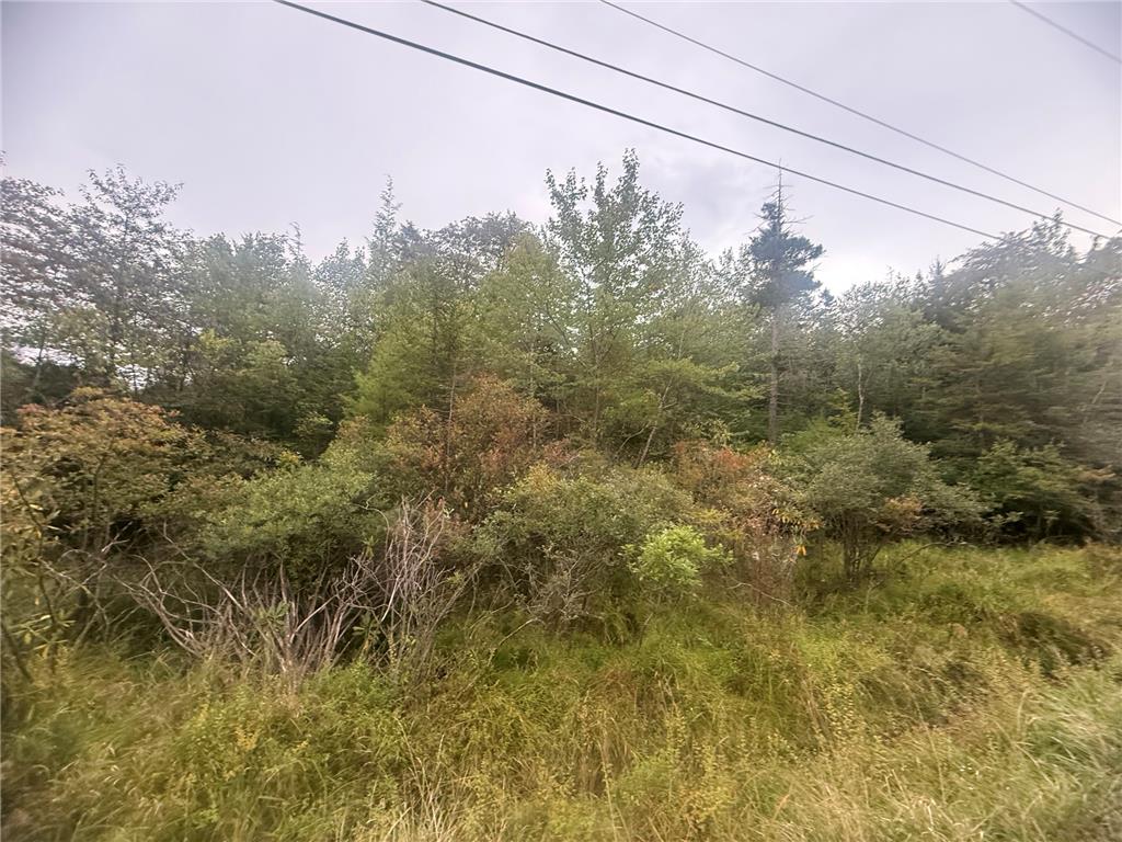 Lazarus Circle Property Photo 4