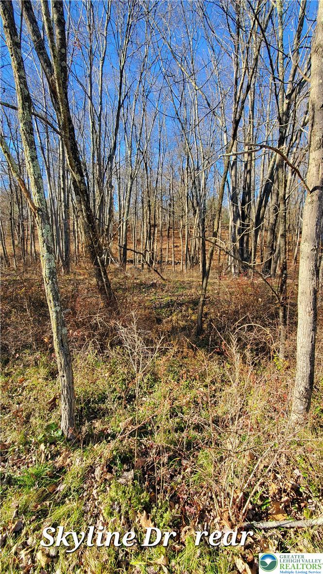 140 Skyline Drive Property Photo 3