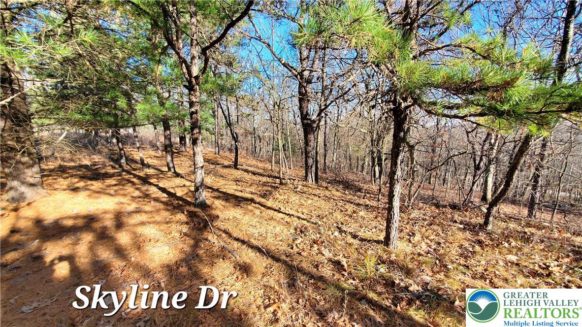 140 Skyline Drive Property Photo 4