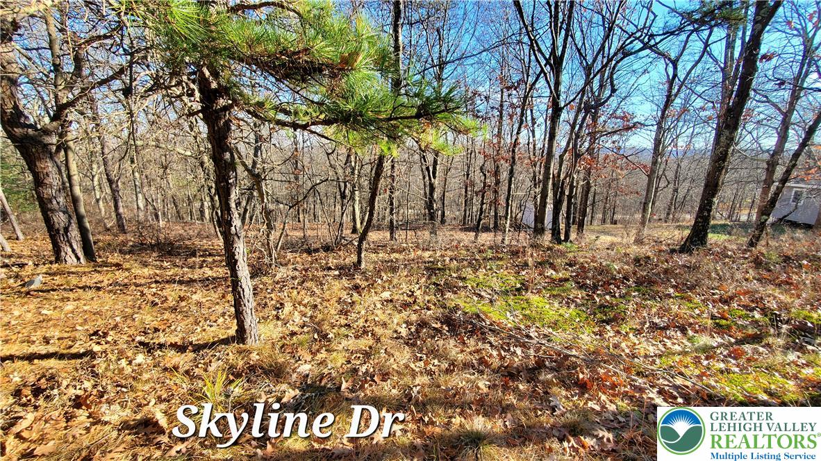 140 Skyline Drive Property Photo 5