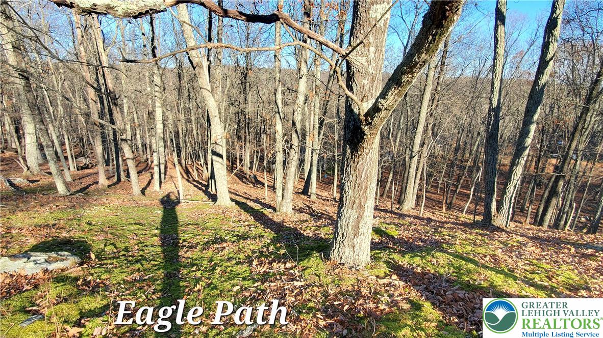 193 Eagle Path Property Photo 2