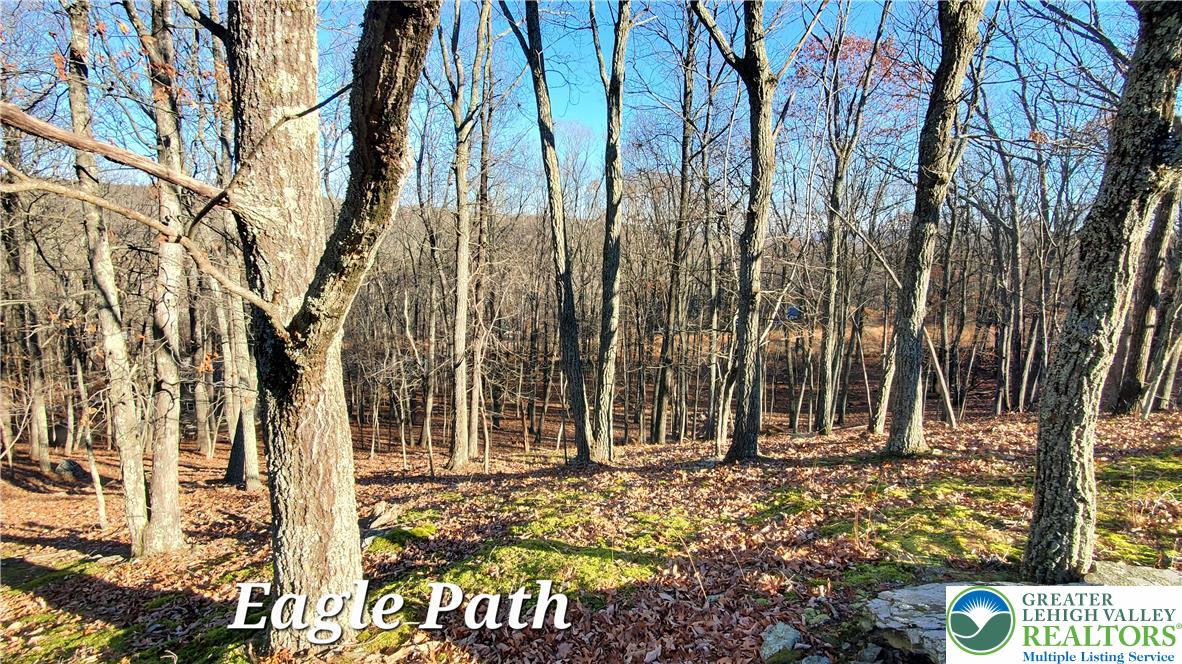 193 Eagle Path Property Photo 3