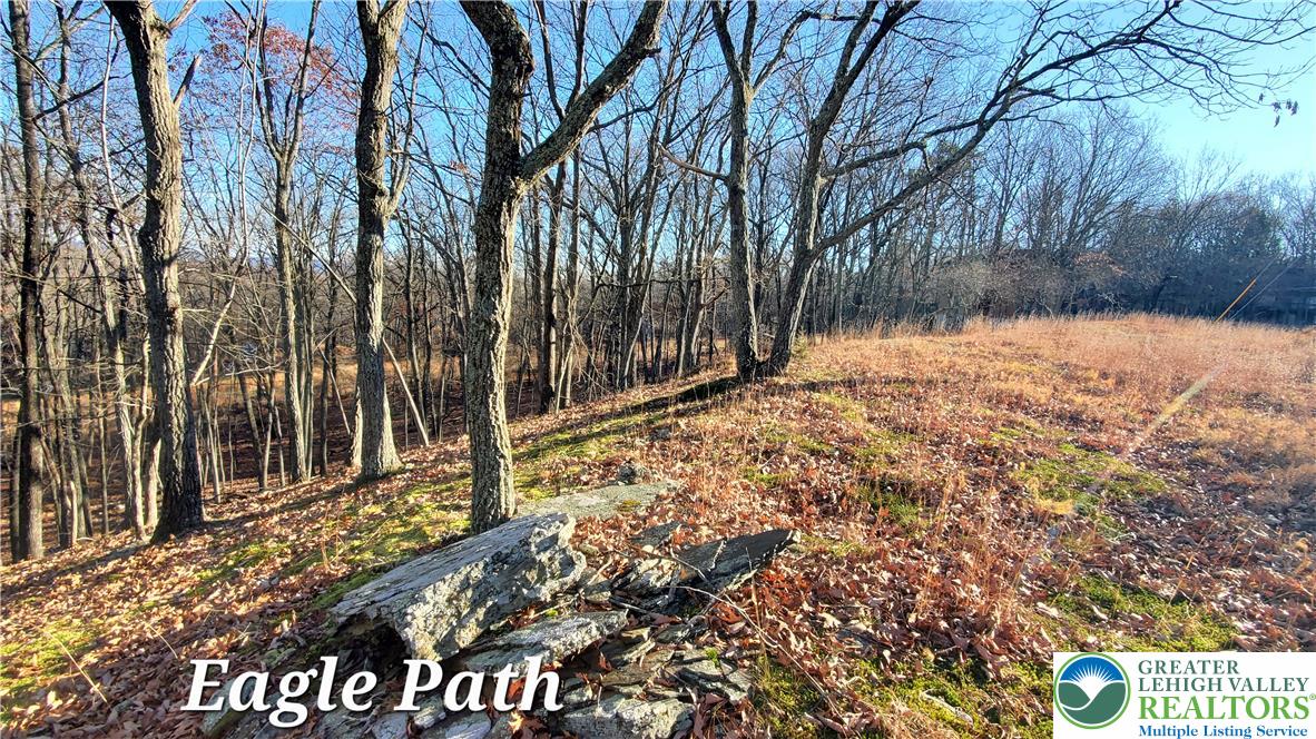 193 Eagle Path Property Photo 4