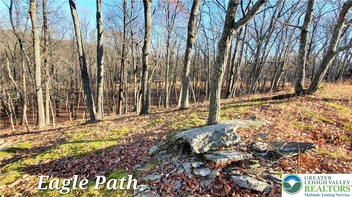 193 Eagle Path Property Photo 5