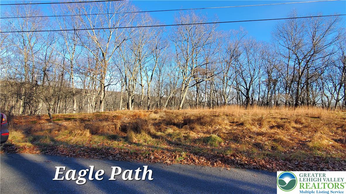 193 Eagle Path Property Photo 6