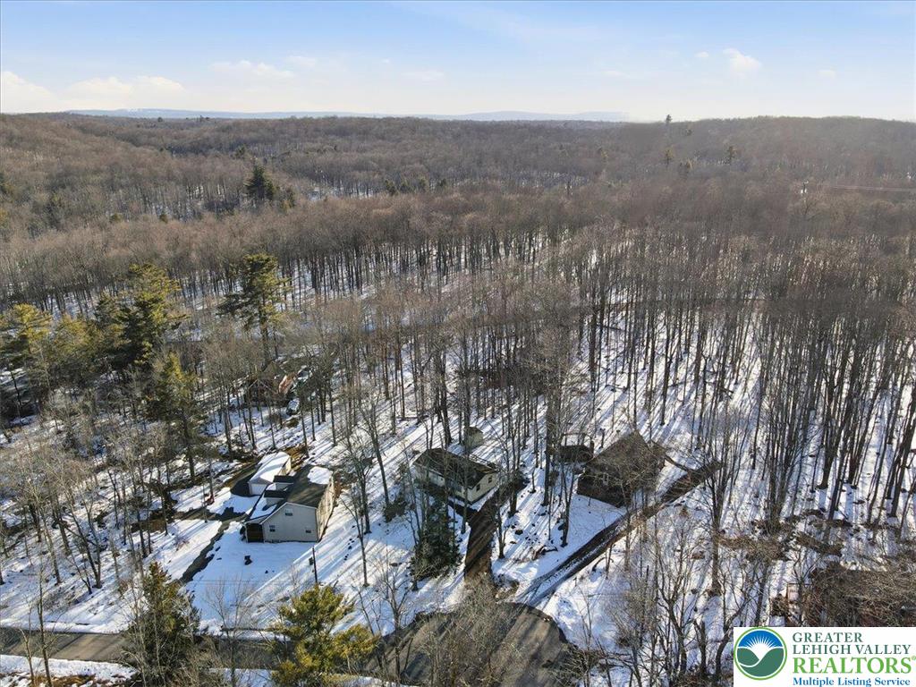 173 Bushkill Drive Property Photo 53