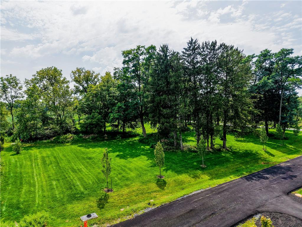 1897 Meadows Road Property Photo 2