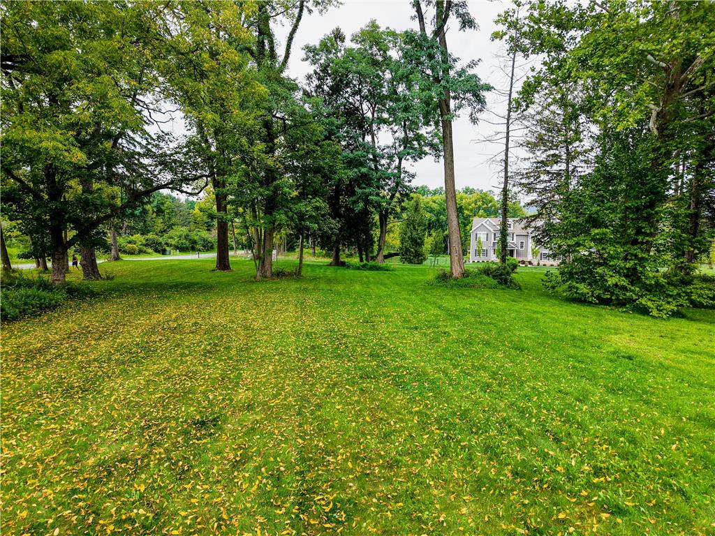 1897 Meadows Road Property Photo 3