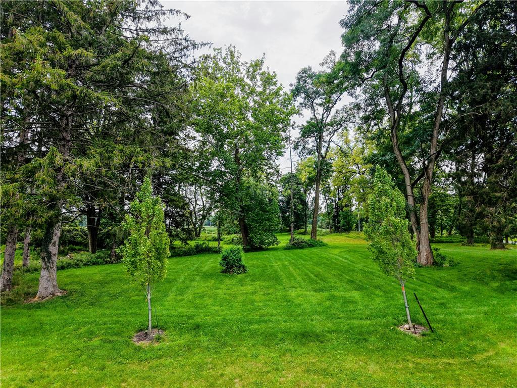1897 Meadows Road Property Photo 4