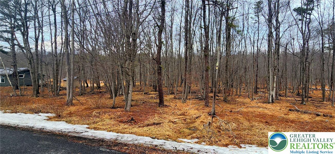 Brook Run Lane 131 Property Photo 2