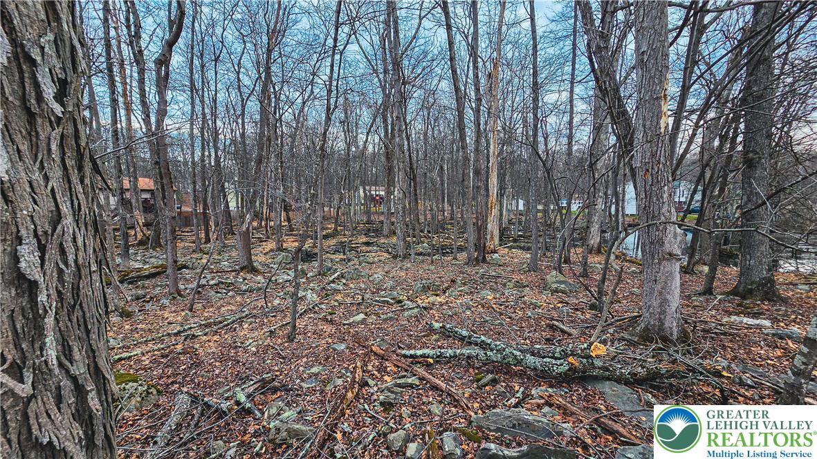 Indian Way Property Photo 4