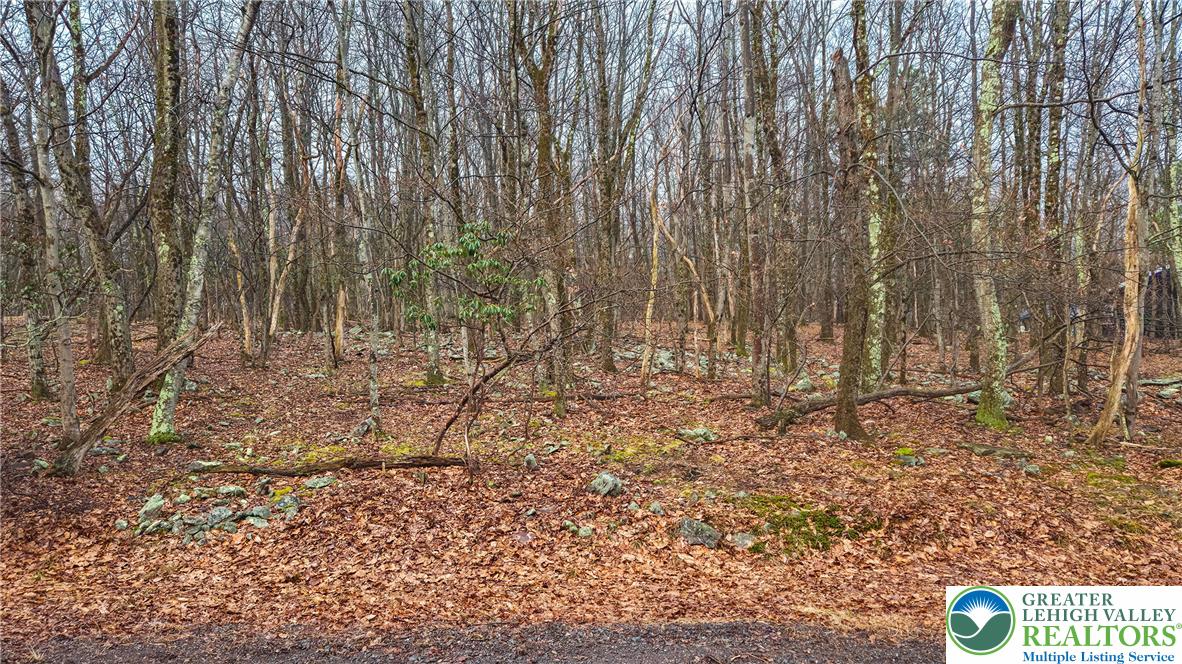 Tunkhannock Drive 2105 Property Photo 2