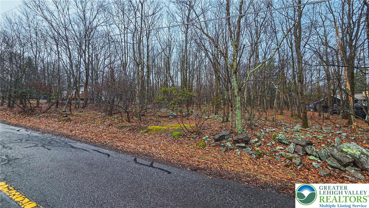 Tunkhannock Drive 2105 Property Photo 3