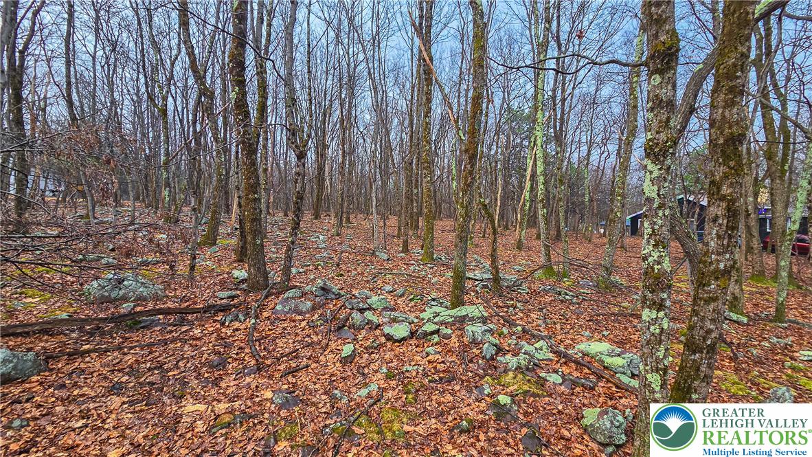 Tunkhannock Drive 2105 Property Photo 4