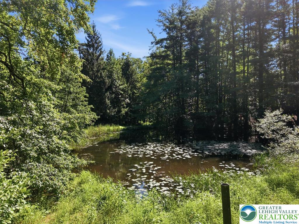 1408 Fox Gap Road Property Photo 33