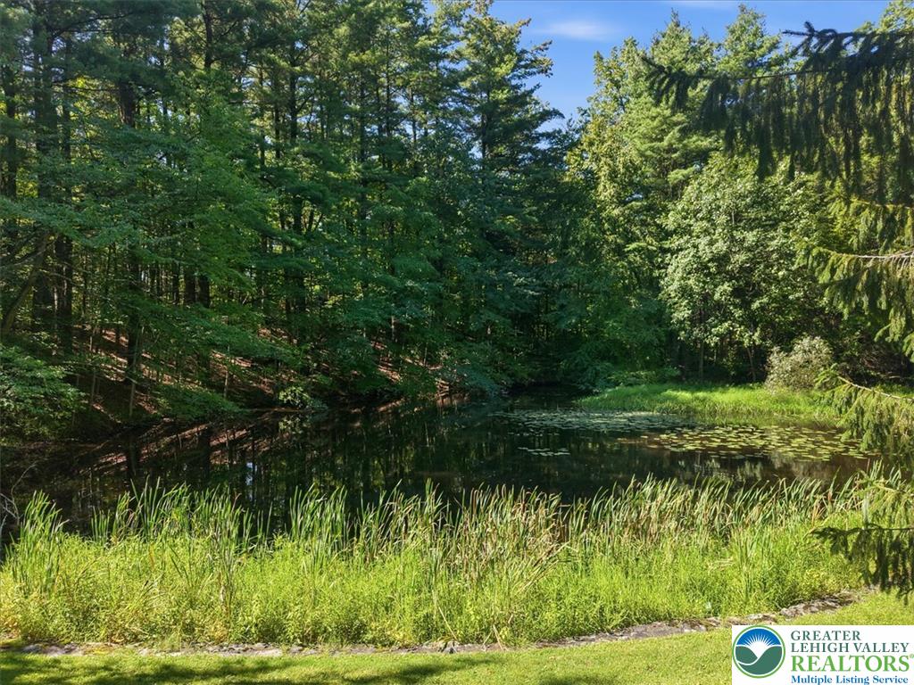 1408 Fox Gap Road Property Photo 34